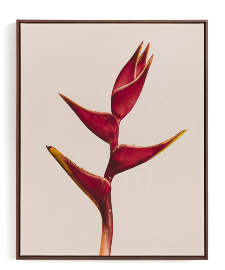 Beach wall art of a Birds of Paradise Flower