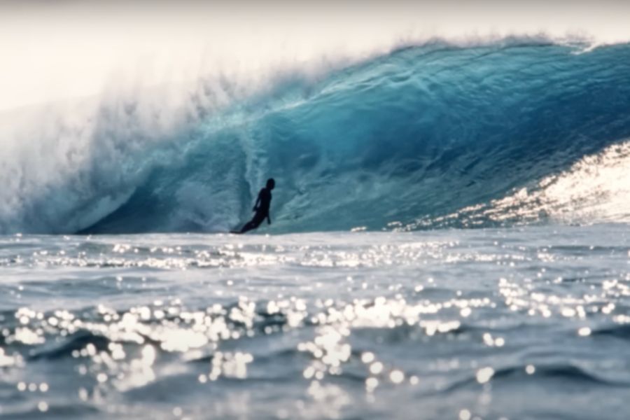 surf movie about fish surfboard