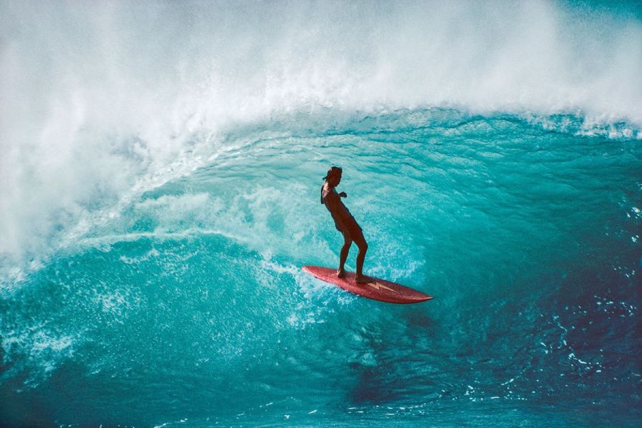 documentary surf film