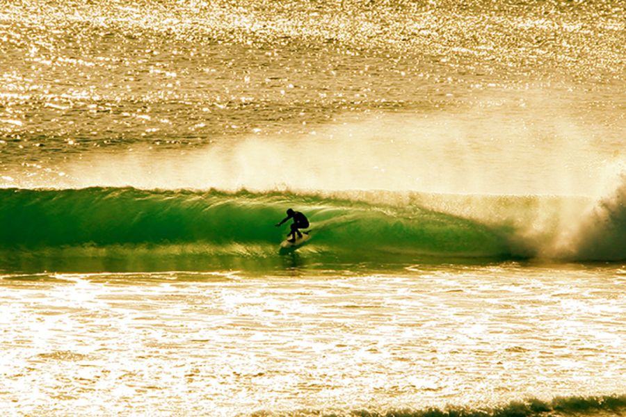 documentary film about surfing