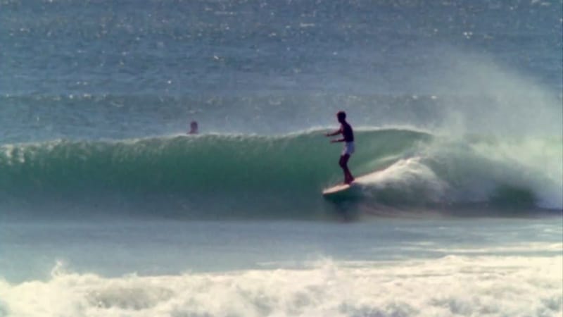 cape st francis surf