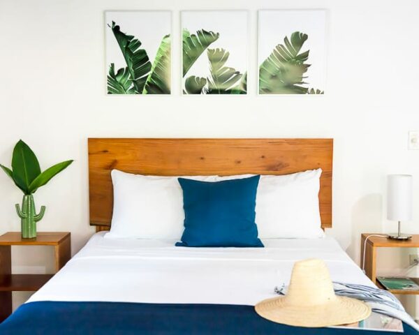 costa rica surf camp
