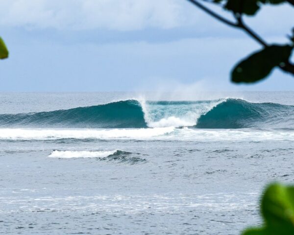 surfing samoa