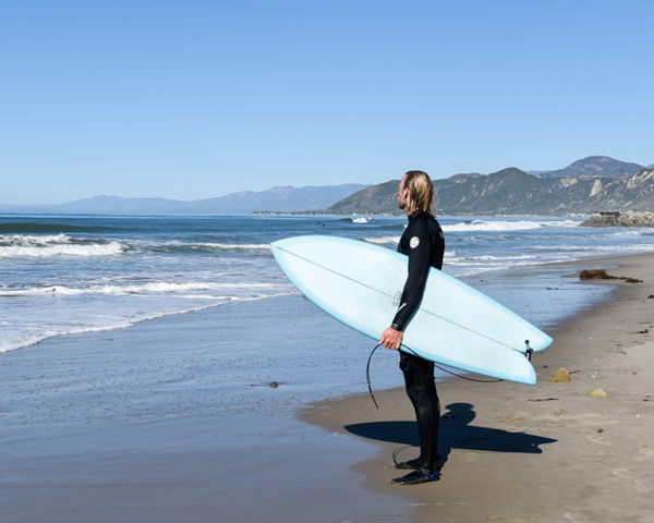 fish surfboard