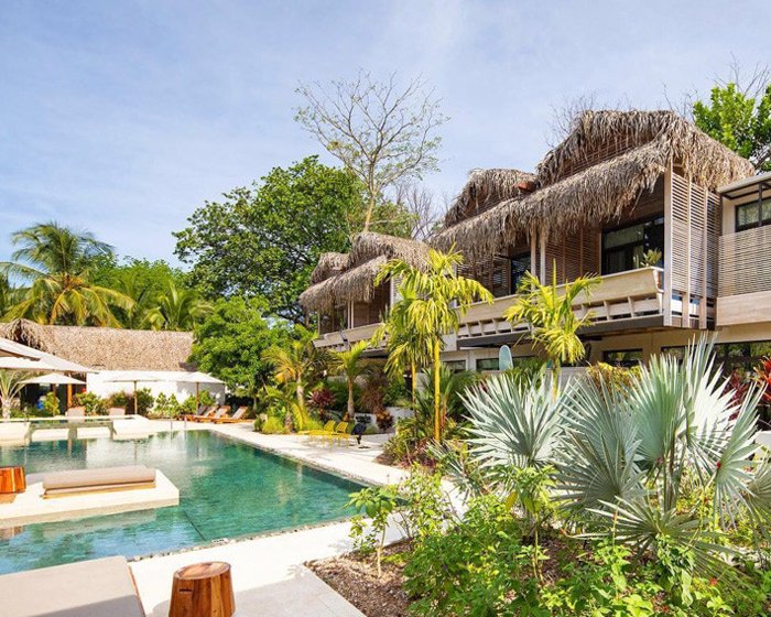 the gilded iguana surf hotel