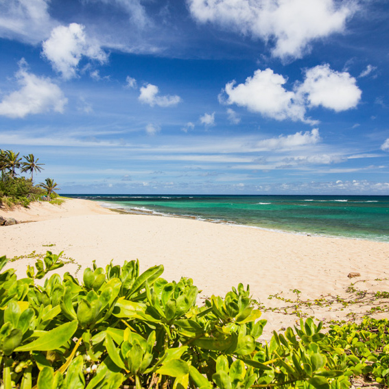 luxury beachfront house backyard