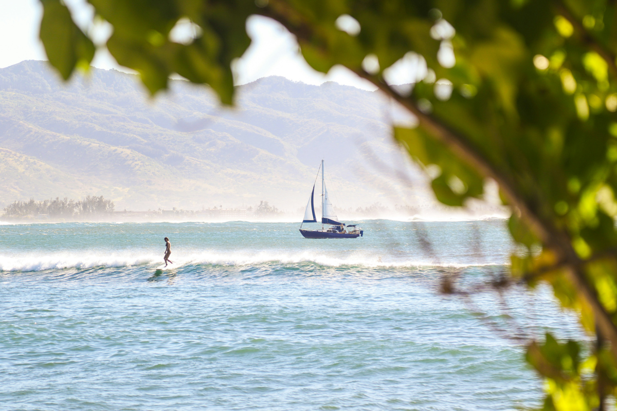 hawaii beginner surf trip