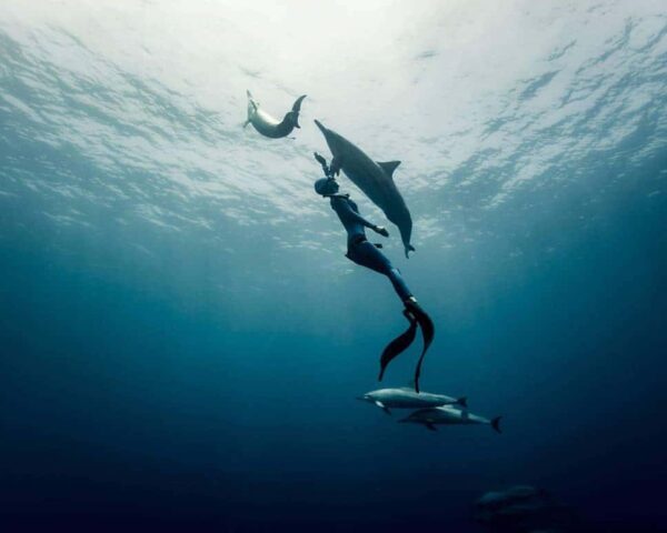 freediving course