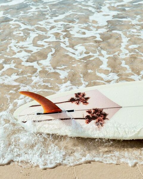 longboard surfboard mctavish