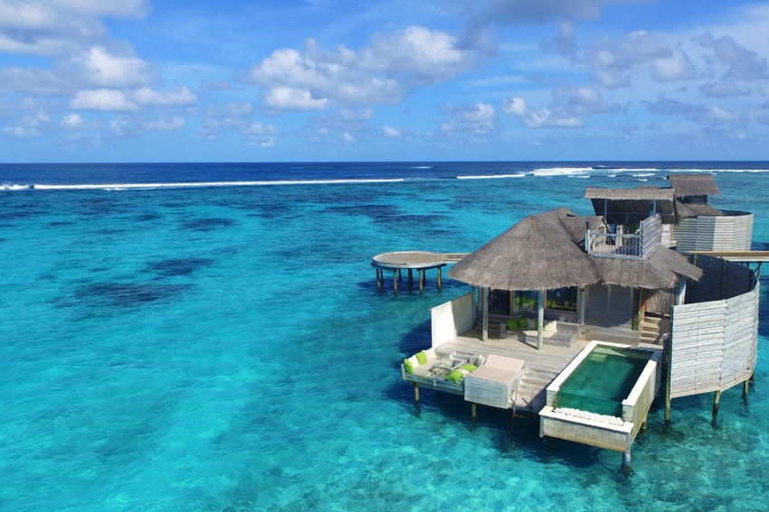 lush palm surf club