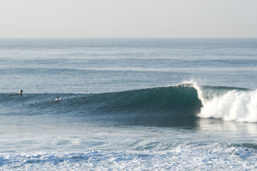 lush palm surf club