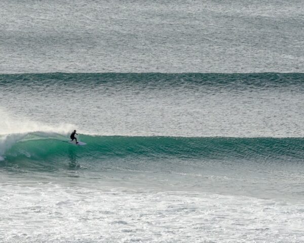 lush palm surf club