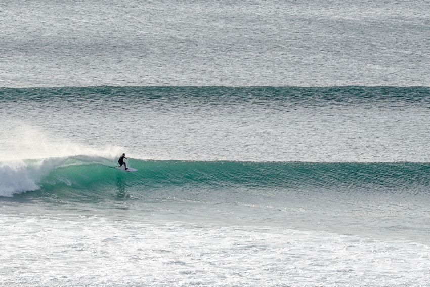 lush palm surf club