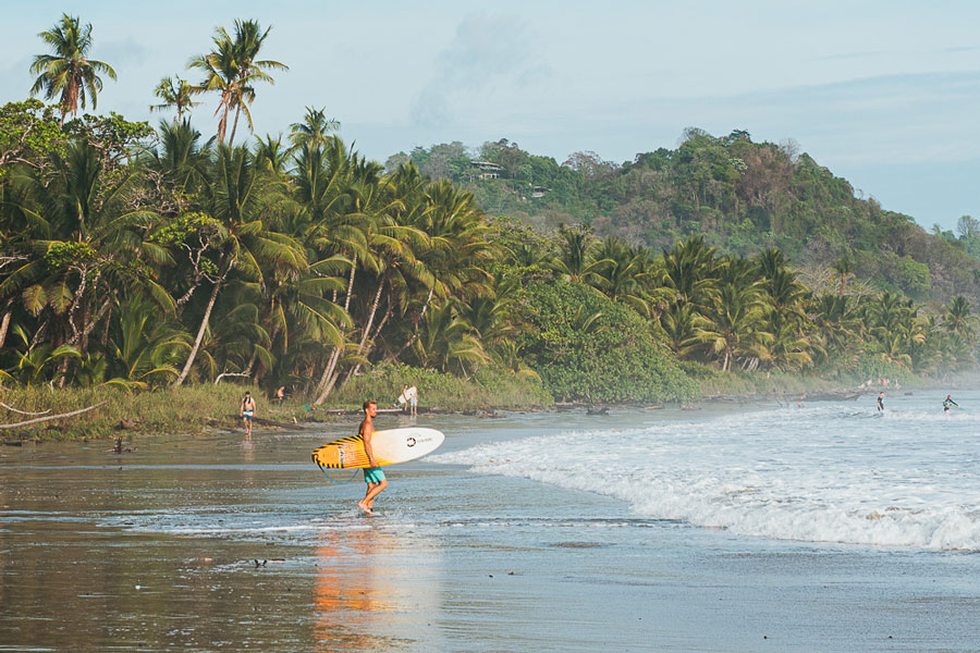 nantipa surfer walking to waves
