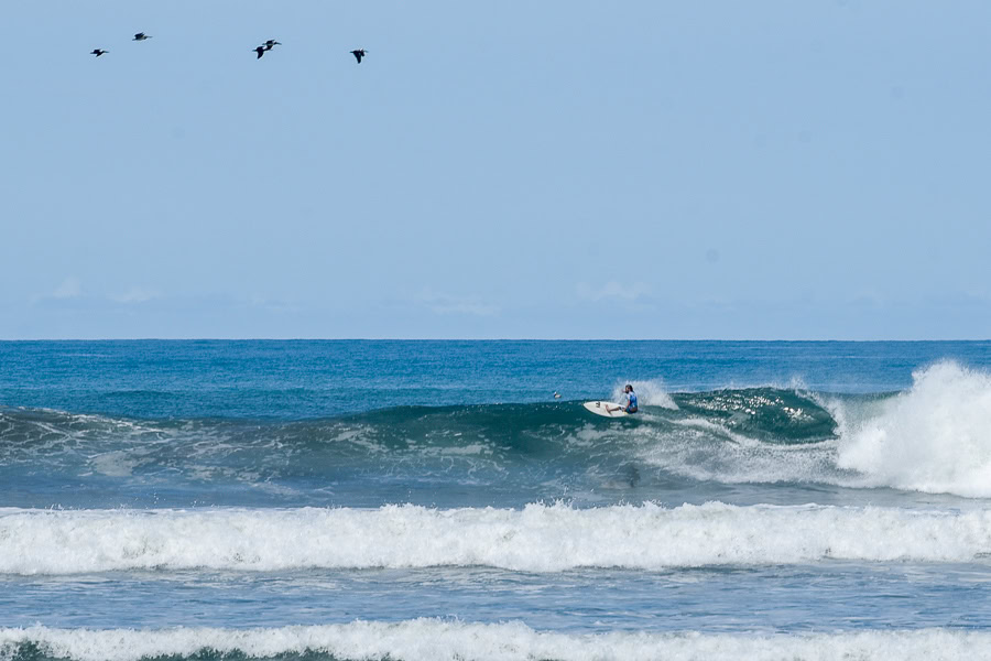 surf in nosara