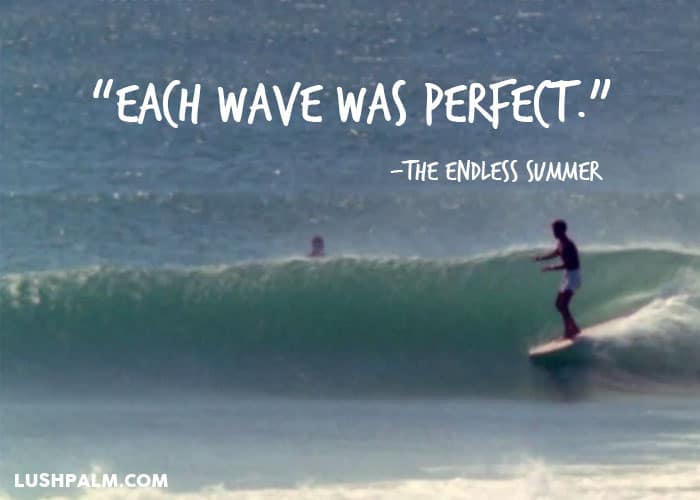Quotes From The Endless Summer