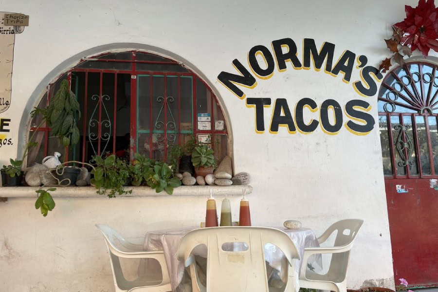 punta de mita best taco shop