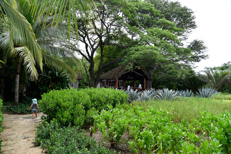 Pathway to La Taquería 