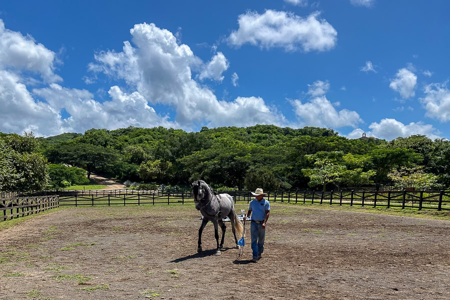 Man with a horse in Rancho Santana stables