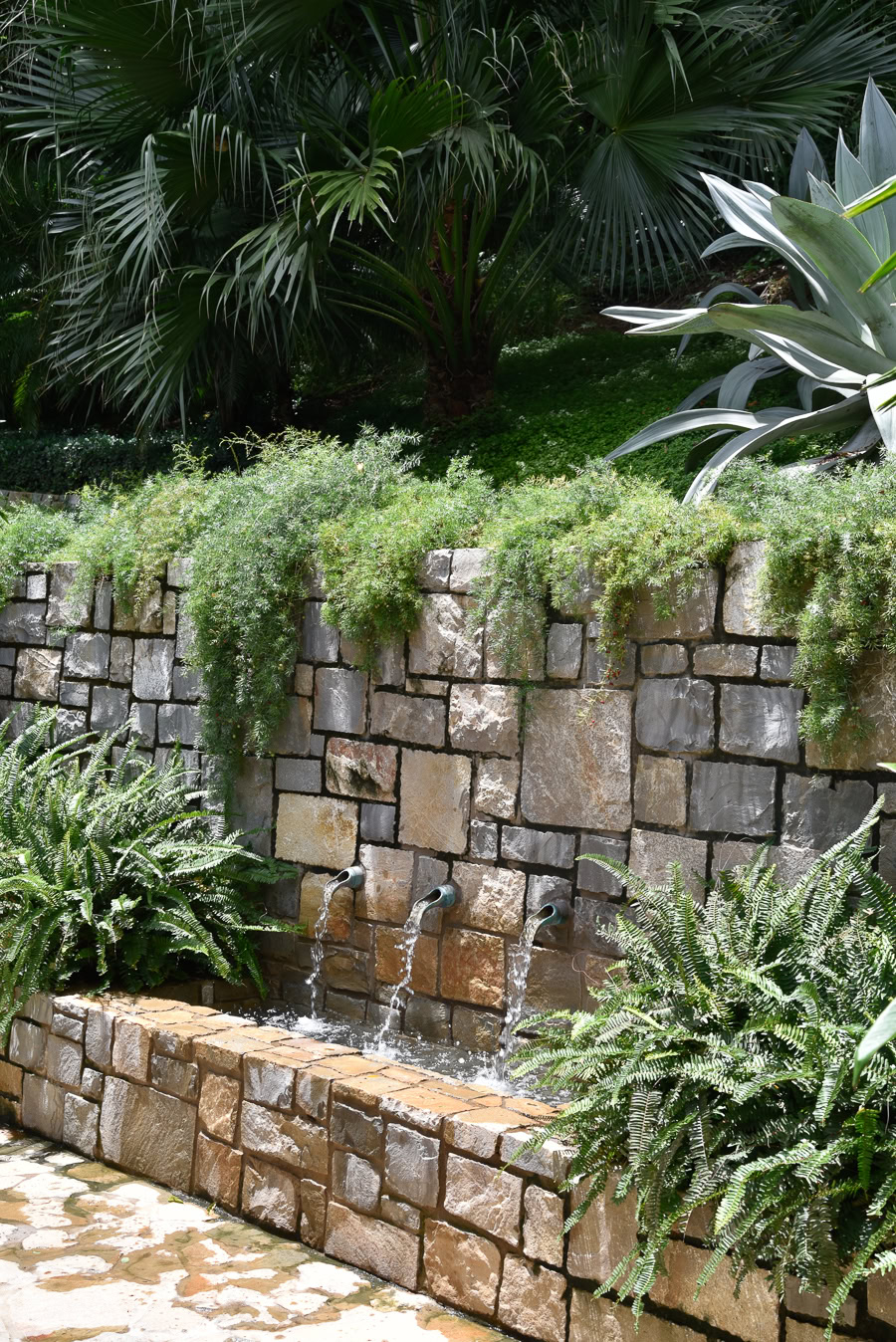 The Spa in El Bosque ("the forest")