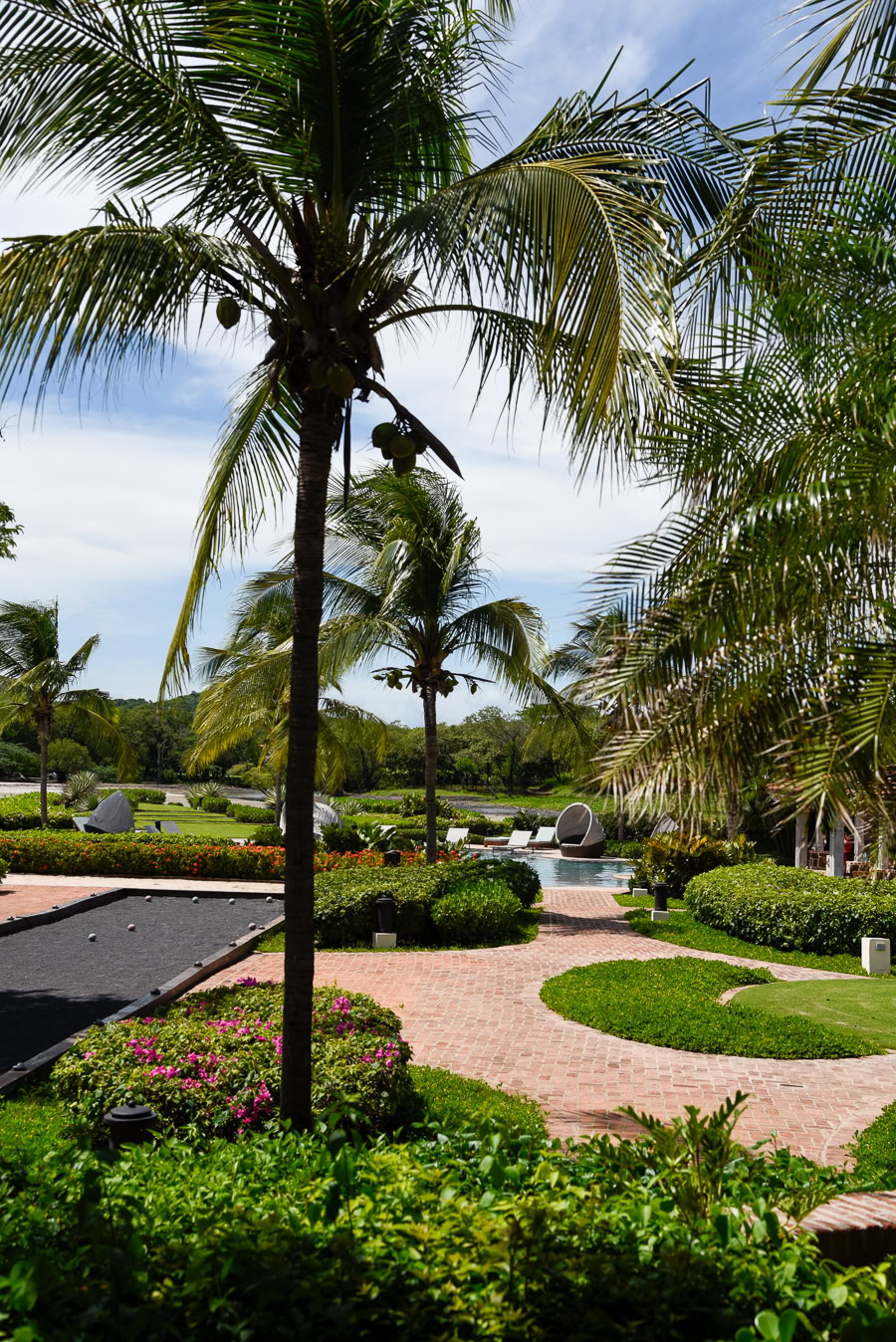 Tropical garden with palm trees 
