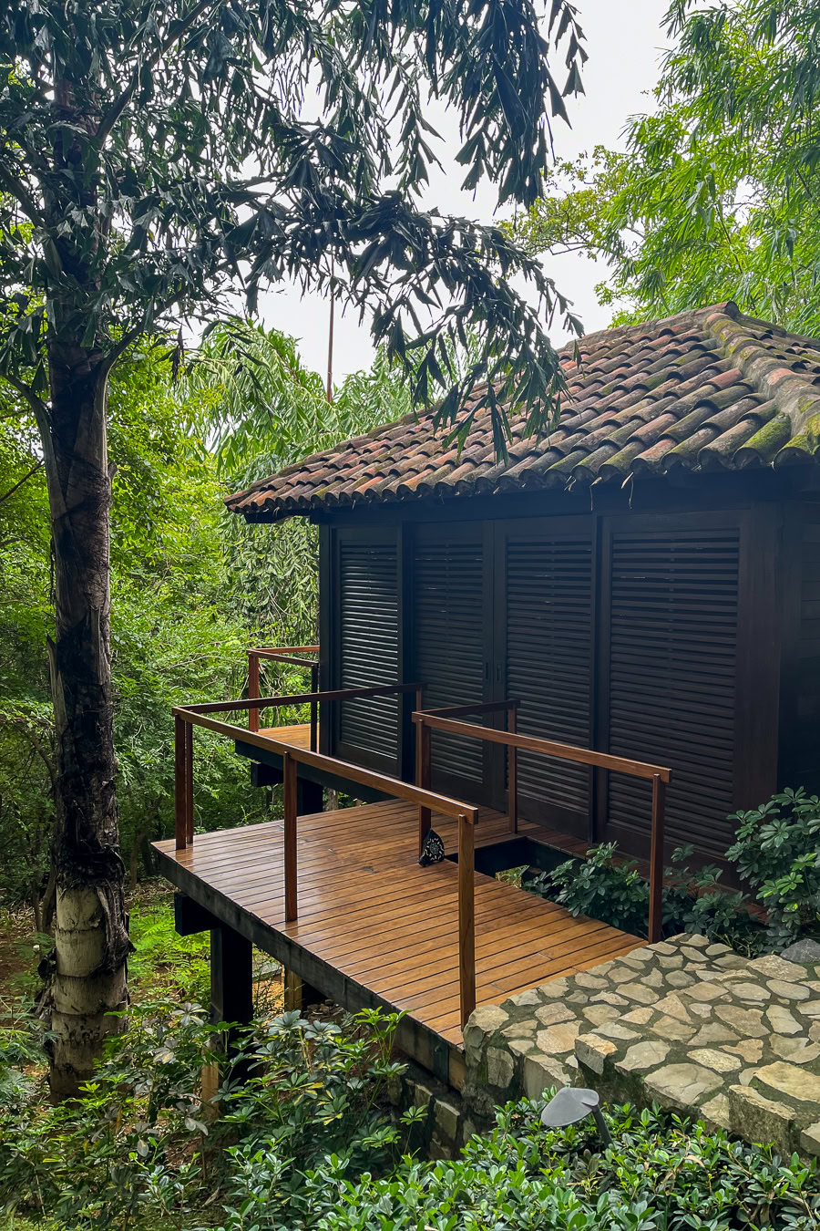 Tranquil spa seating nestled in a forest sanctuary.