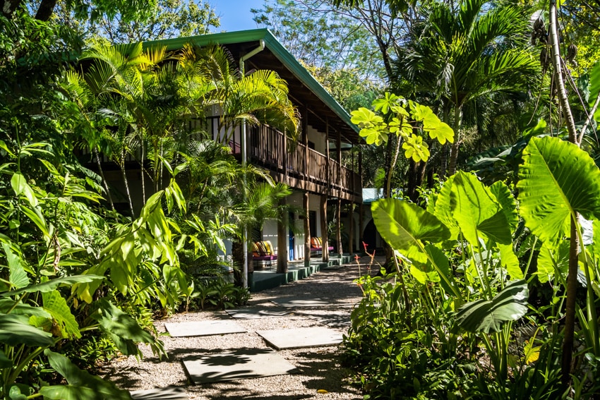 sunset shack nosara