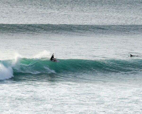 surf apps