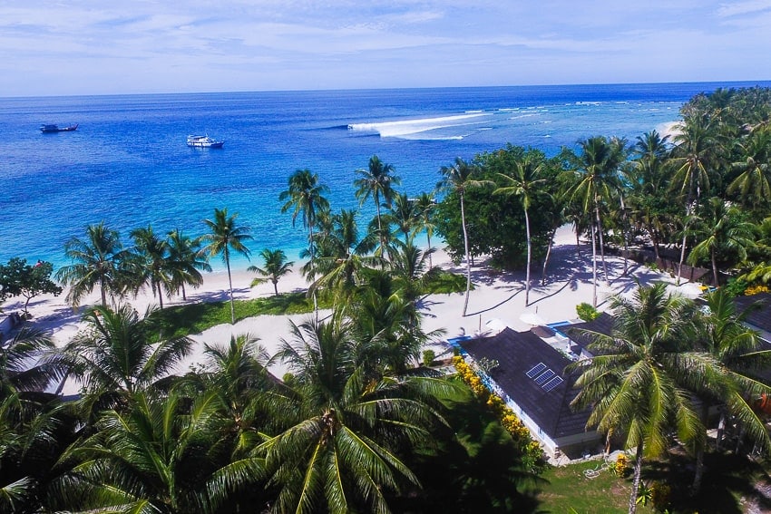 surf camps for adults