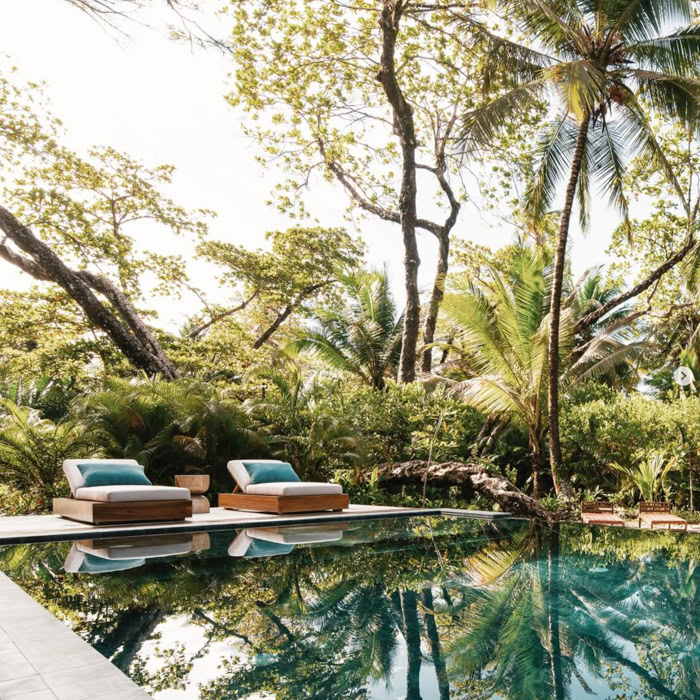 lush tropical poolside oasis with lounges