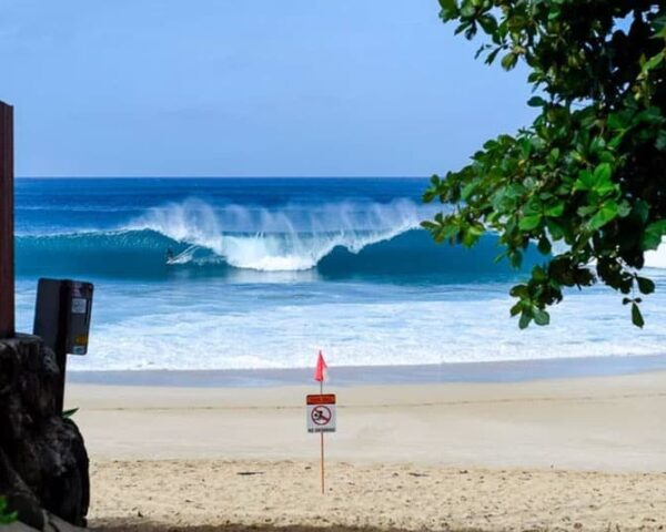 surf report surf forecast