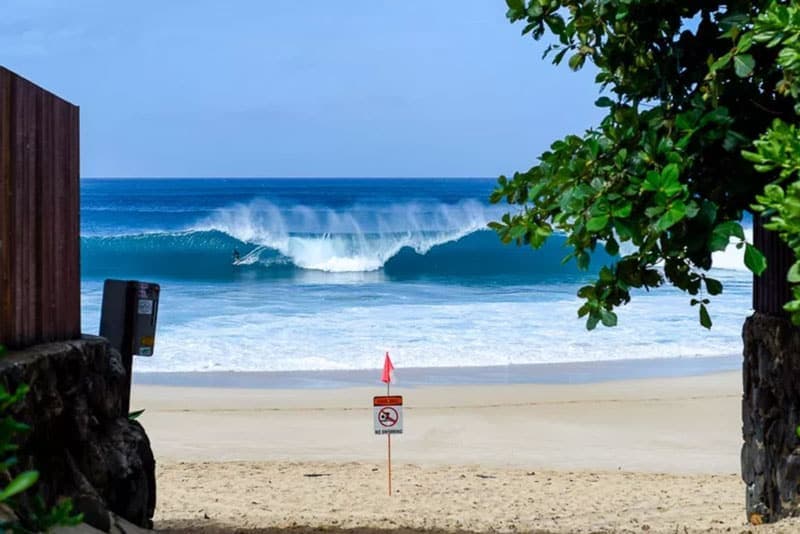 surf report surf forecast