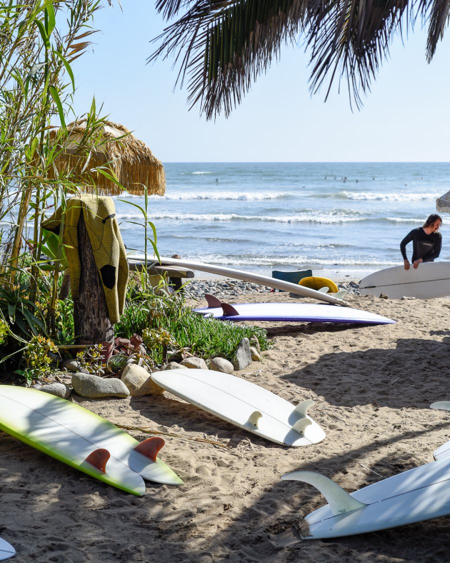 oceanview display of surfboard fins