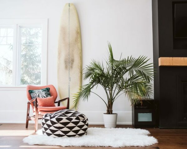 surfboard racks