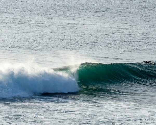 surfing bali