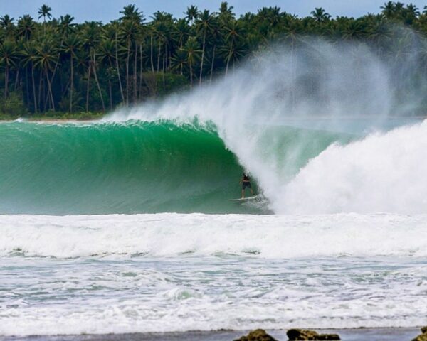 surfing Indonesia