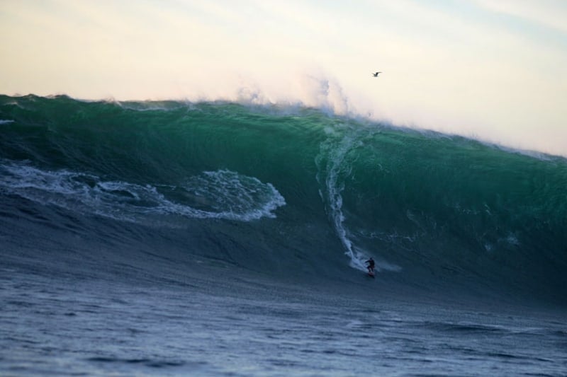 surfing mexico
