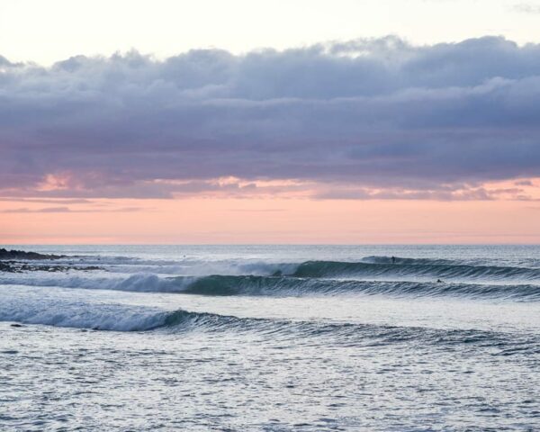 surfing new zealand