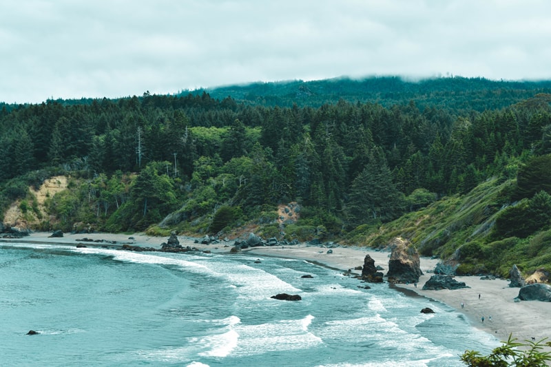 surfing northern California