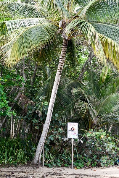 surfing puerto rico danger sign