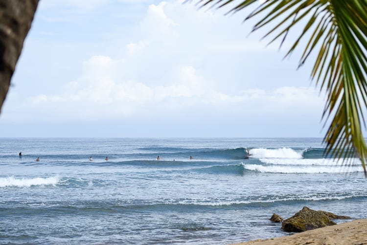 surfing puerto rico domes