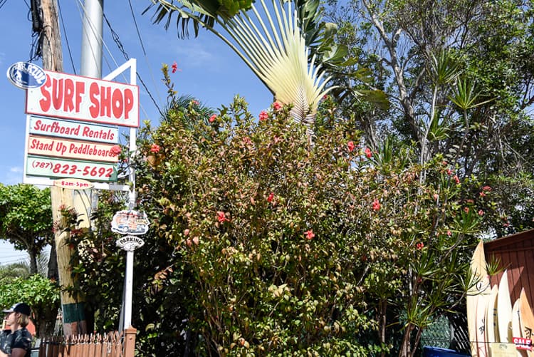surfing puerto rico surf shop