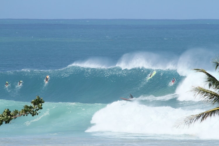 surfing puerto rico tres palmas