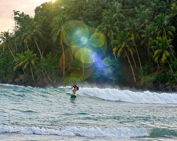 surfing sri lanka mirissa
