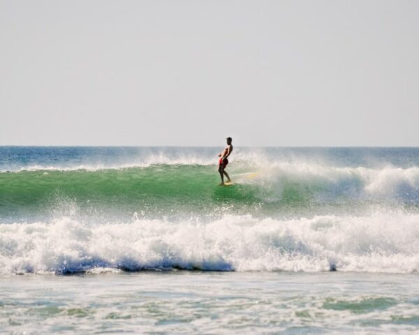 tamarindo costa rica / surf guide