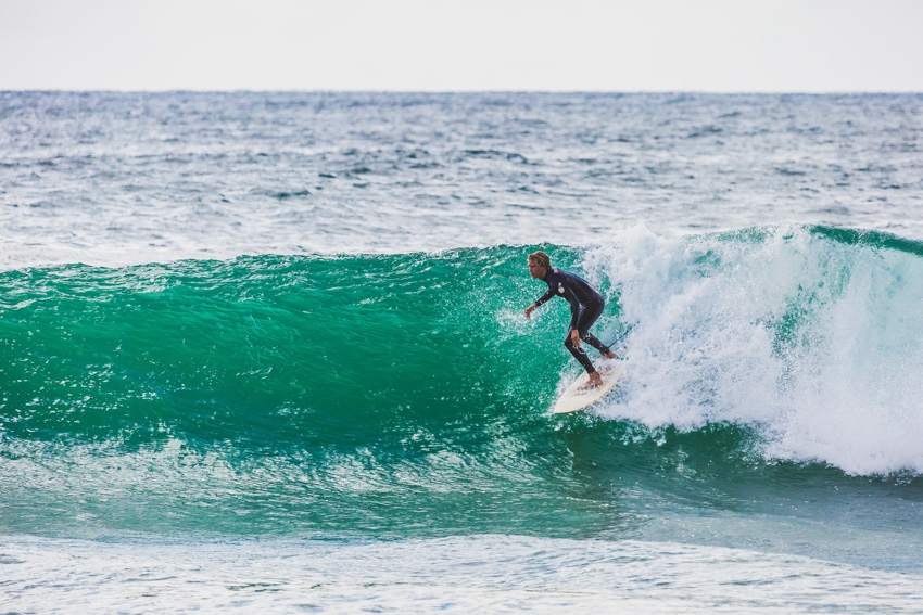tiny whale lodge portugal surf