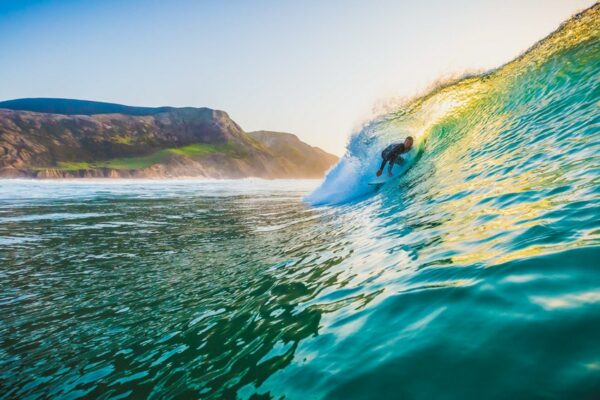 tiny whale lodge portugal surf